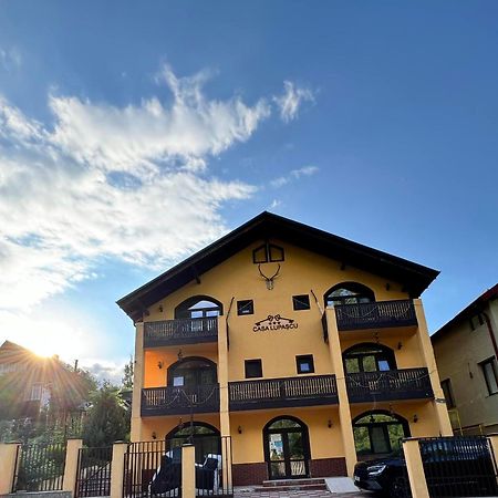 Отель Casa Lupascu Ватра-Дорней Экстерьер фото