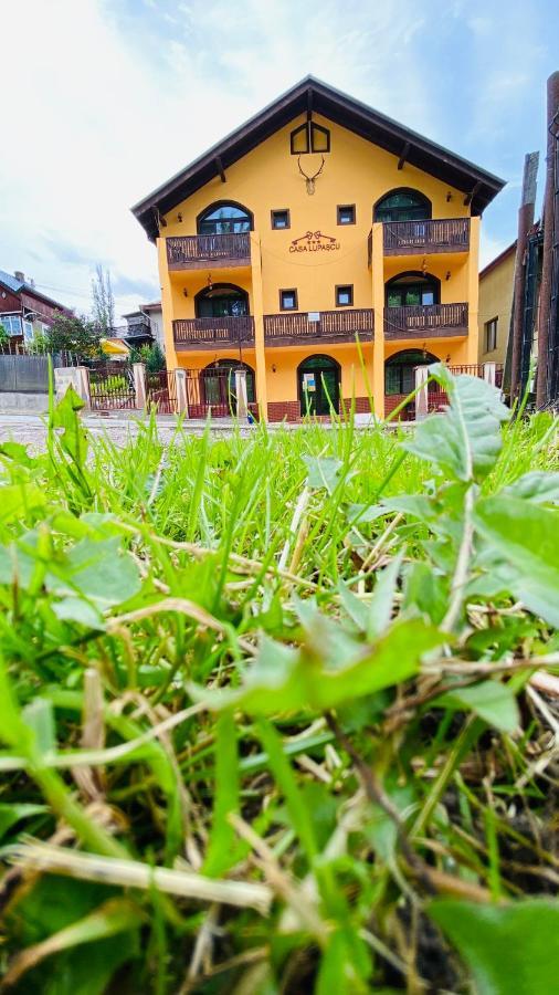 Отель Casa Lupascu Ватра-Дорней Экстерьер фото