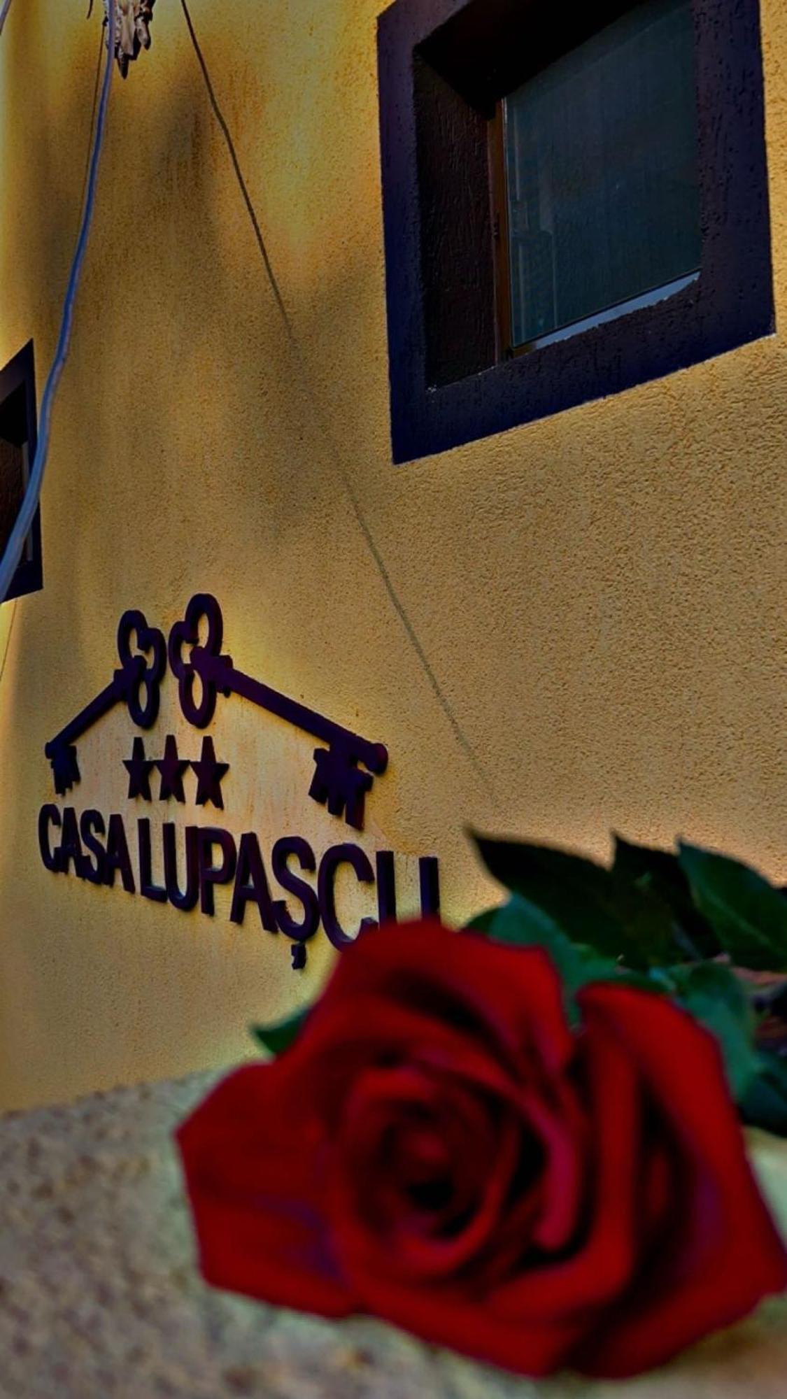 Отель Casa Lupascu Ватра-Дорней Экстерьер фото